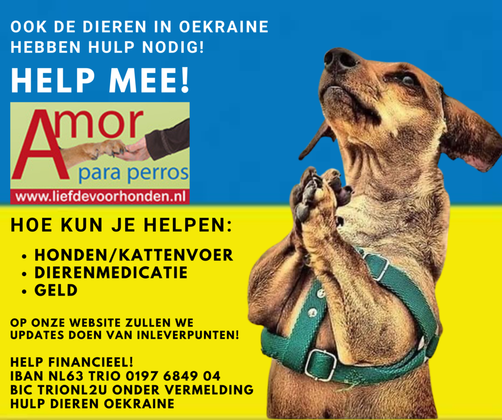 Hulp dieren Oekraine